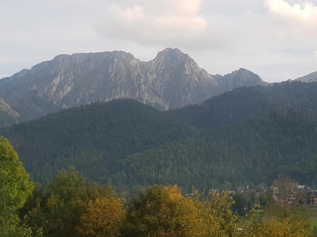 Apartament Sobiczkowa Zakopane Koscielisko Luaran gambar